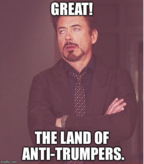Face You Make Robert Downey Jr Meme | GREAT! THE LAND OF ANTI-TRUMPERS. | image tagged in memes,face you make robert downey jr | made w/ Imgflip meme maker