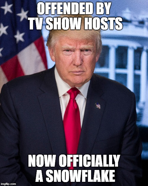 OFFENDED BY TV SHOW HOSTS; NOW OFFICIALLY A SNOWFLAKE | image tagged in orangeslowflake | made w/ Imgflip meme maker