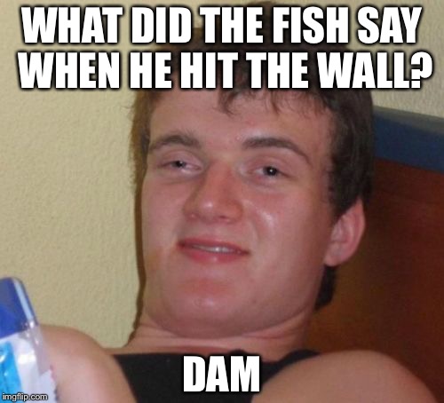 10 Guy Meme | WHAT DID THE FISH SAY WHEN HE HIT THE WALL? DAM | image tagged in memes,10 guy | made w/ Imgflip meme maker
