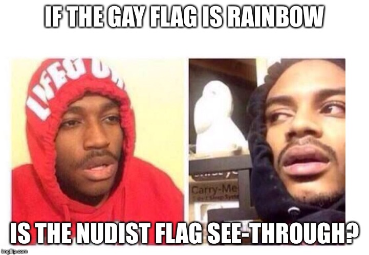 Hits blunt | IF THE GAY FLAG IS RAINBOW; IS THE NUDIST FLAG SEE-THROUGH? | image tagged in hits blunt | made w/ Imgflip meme maker