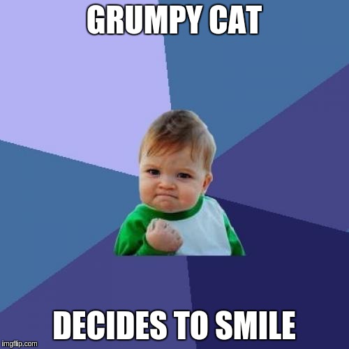 Success Kid Meme | GRUMPY CAT DECIDES TO SMILE | image tagged in memes,success kid | made w/ Imgflip meme maker