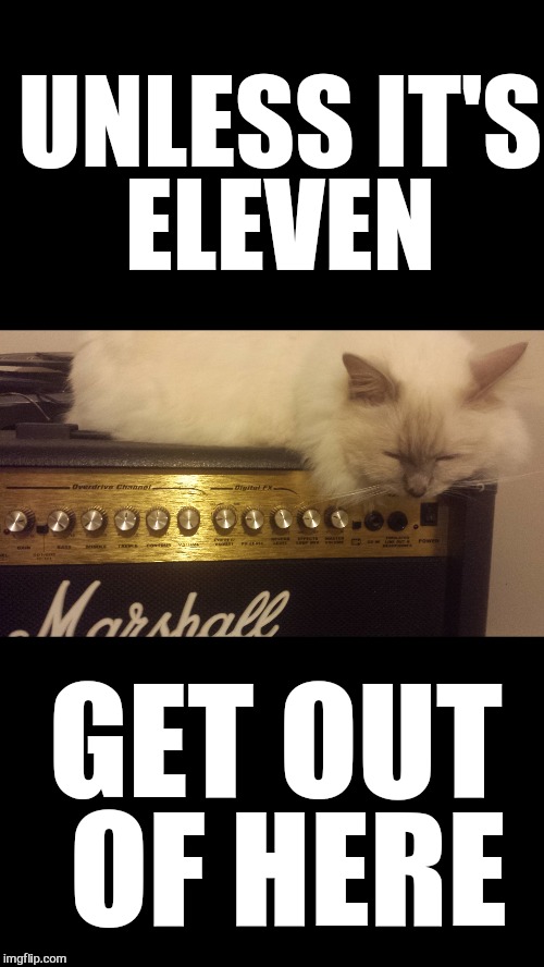                               Pussy |  UNLESS IT'S ELEVEN; GET OUT OF HERE | image tagged in memes,marshall,comet,cats,funny cats,music | made w/ Imgflip meme maker