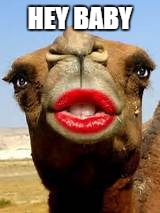 Camel Lipstick | HEY BABY | image tagged in camel lipstick | made w/ Imgflip meme maker