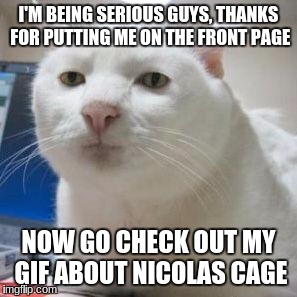 The Rhyme Was Unintentional, But The Thank You Is Genuine! <3 | I'M BEING SERIOUS GUYS, THANKS FOR PUTTING ME ON THE FRONT PAGE; NOW GO CHECK OUT MY GIF ABOUT NICOLAS CAGE | image tagged in serious cat times,thank you,i love you | made w/ Imgflip meme maker