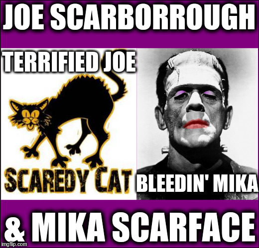 Joe & Mika | JOE SCARBORROUGH; TERRIFIED JOE; BLEEDIN' MIKA; & MIKA SCARFACE | image tagged in joe scarburrough,mika brzezinski,crazy joe,scarface mika | made w/ Imgflip meme maker