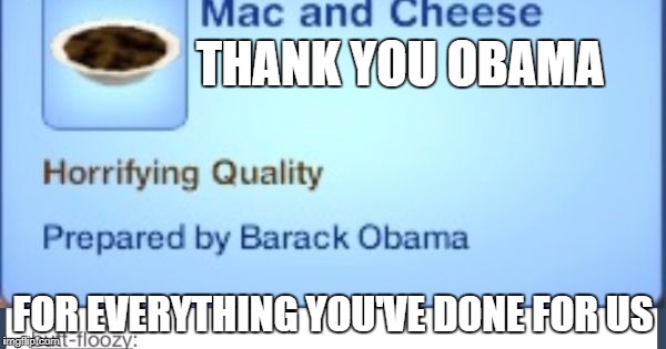 I have no words | THANK YOU OBAMA; FOR EVERYTHING YOU'VE DONE FOR US | image tagged in memes,barack obama,mac  cheese,sims logic | made w/ Imgflip meme maker