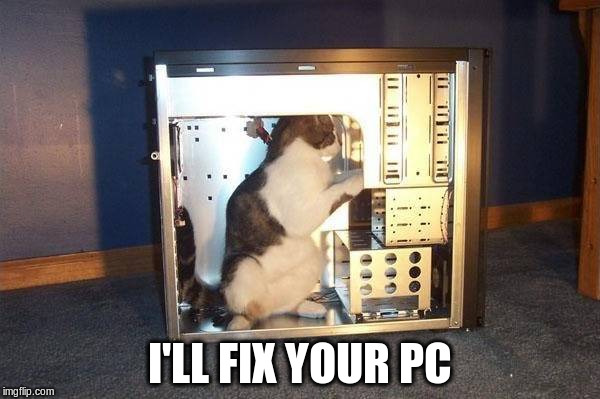 Cat In A PC Imgflip