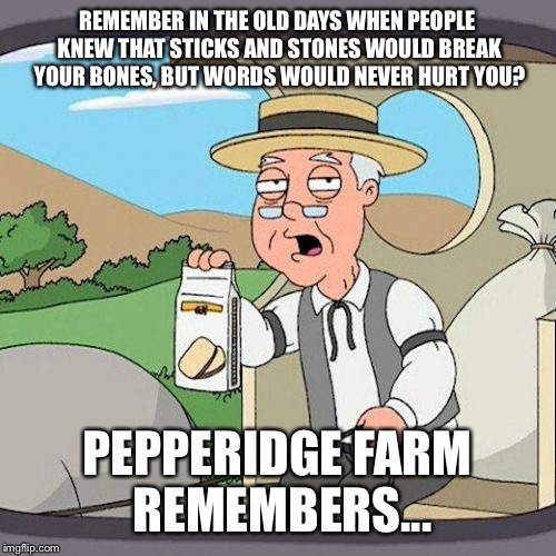 Pepperidge Farm Remembers Meme | REMEMBER IN THE OLD DAYS WHEN PEOPLE KNEW THAT STICKS AND STONES WOULD BREAK YOUR BONES, BUT WORDS WOULD NEVER HURT YOU? PEPPERIDGE FARM REMEMBERS... | image tagged in memes,pepperidge farm remembers | made w/ Imgflip meme maker