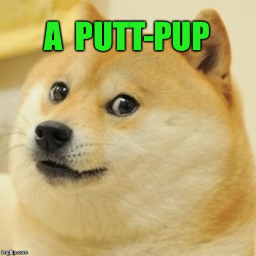 Doge Meme | A  PUTT-PUP | image tagged in memes,doge | made w/ Imgflip meme maker