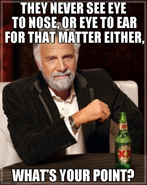 The Most Interesting Man In The World Meme | THEY NEVER SEE EYE TO NOSE, OR EYE TO EAR FOR THAT MATTER EITHER, WHAT'S YOUR POINT? | image tagged in memes,the most interesting man in the world | made w/ Imgflip meme maker