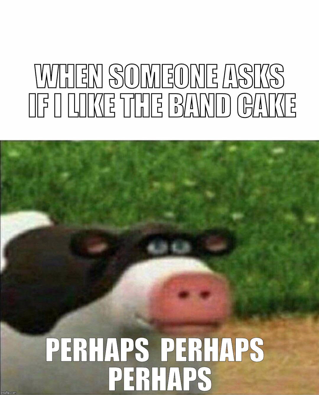 Perhaps cow | WHEN SOMEONE ASKS IF I LIKE THE BAND CAKE; PERHAPS  PERHAPS  PERHAPS | image tagged in perhaps cow | made w/ Imgflip meme maker