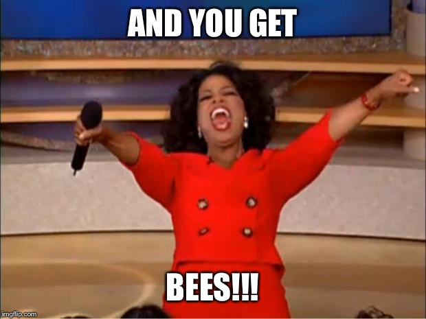 Oprah You Get A | AND YOU GET; BEES!!! | image tagged in memes,oprah you get a | made w/ Imgflip meme maker