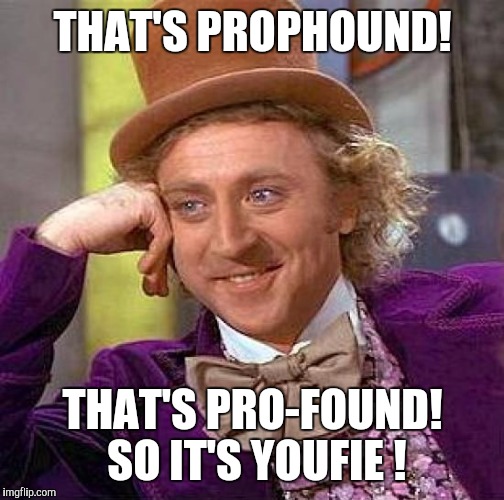 Creepy Condescending Wonka Meme | THAT'S PROPHOUND! THAT'S PRO-FOUND! SO IT'S YOUFIE ! | image tagged in memes,creepy condescending wonka | made w/ Imgflip meme maker