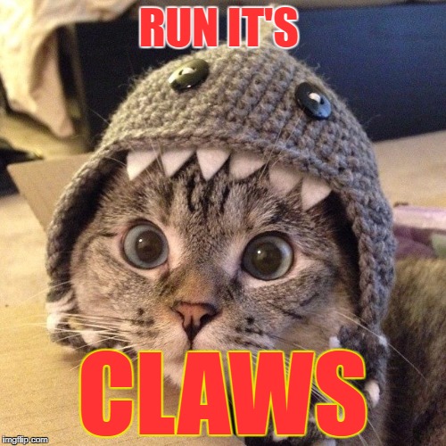 catshark | RUN IT'S; CLAWS | image tagged in catshark | made w/ Imgflip meme maker