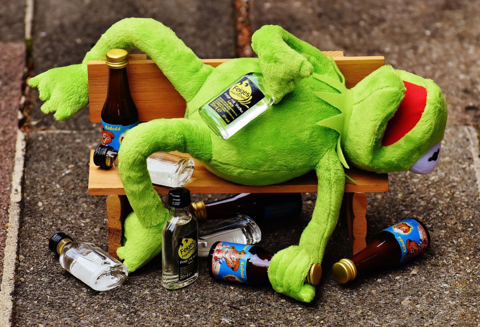 High Quality Kermit the Drunk Blank Meme Template