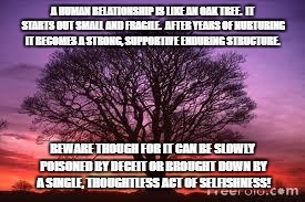 Relationship | A HUMAN RELATIONSHIP IS LIKE AN OAK TREE.  IT STARTS OUT SMALL AND FRAGILE.  AFTER YEARS OF NURTURING IT BECOMES A STRONG, SUPPORTIVE ENDURING STRUCTURE. BEWARE THOUGH FOR IT CAN BE SLOWLY POISONED BY DECEIT OR BROUGHT DOWN BY A SINGLE, THOUGHTLESS ACT OF SELFISHNESS! | image tagged in tree | made w/ Imgflip meme maker