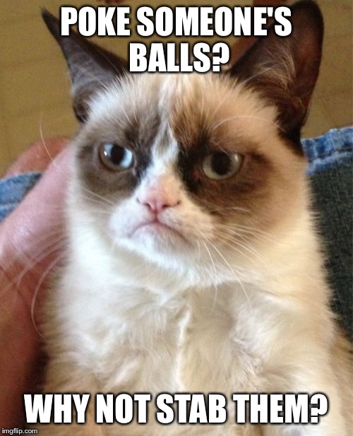Grumpy Cat Meme | POKE SOMEONE'S BALLS? WHY NOT STAB THEM? | image tagged in memes,grumpy cat | made w/ Imgflip meme maker
