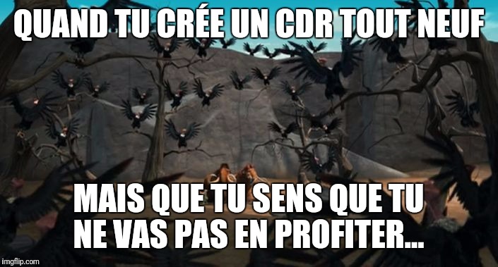 Ice Age Vultures | QUAND TU CRÉE UN CDR TOUT NEUF; MAIS QUE TU SENS QUE TU NE VAS PAS EN PROFITER... | image tagged in ice age vultures | made w/ Imgflip meme maker