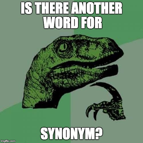 Philosoraptor | IS THERE ANOTHER WORD FOR; SYNONYM? | image tagged in memes,philosoraptor | made w/ Imgflip meme maker