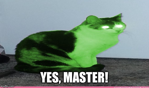 YES, MASTER! | made w/ Imgflip meme maker