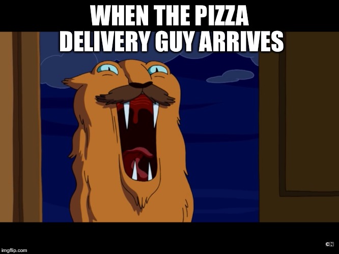 WHEN THE PIZZA DELIVERY GUY ARRIVES | image tagged in food | made w/ Imgflip meme maker
