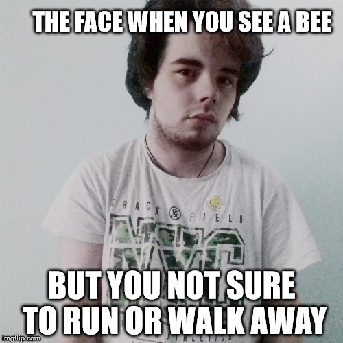 THE FACE WHEN YOU SEE A BEE; BUT YOU NOT SURE TO RUN OR WALK AWAY | image tagged in dawgg | made w/ Imgflip meme maker