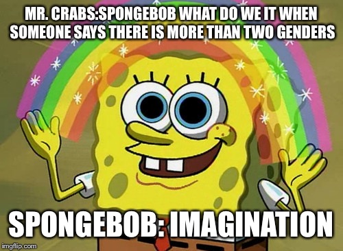Imagination Spongebob | MR. CRABS:SPONGEBOB WHAT DO WE IT WHEN SOMEONE SAYS THERE IS MORE THAN TWO GENDERS; SPONGEBOB: IMAGINATION | image tagged in memes,imagination spongebob | made w/ Imgflip meme maker