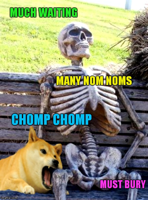 Every Doge has his day... | MUCH WAITING; MANY NOM NOMS; CHOMP CHOMP; MUST BURY | image tagged in doge,i'll just wait here,bones | made w/ Imgflip meme maker