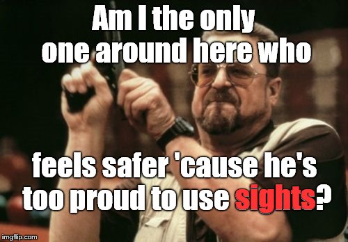 Am I The Only One Around Here Meme | Am I the only one around here who feels safer 'cause he's too proud to use sights? sights | image tagged in memes,am i the only one around here | made w/ Imgflip meme maker