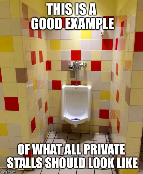 Take note bathroom designers | THIS IS A GOOD EXAMPLE; OF WHAT ALL PRIVATE STALLS SHOULD LOOK LIKE | image tagged in memes,funny | made w/ Imgflip meme maker