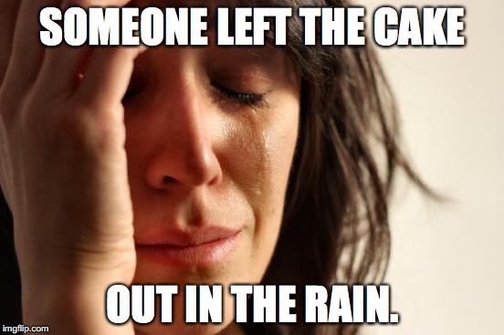 just took so long to bake it | SOMEONE LEFT THE CAKE; OUT IN THE RAIN. | image tagged in memes,first world problems | made w/ Imgflip meme maker