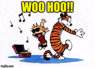 wow! | WOO HOO!! | image tagged in wow | made w/ Imgflip meme maker