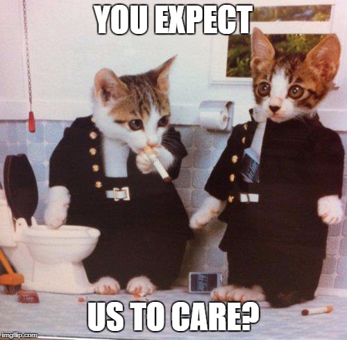 YOU EXPECT US TO CARE? | made w/ Imgflip meme maker