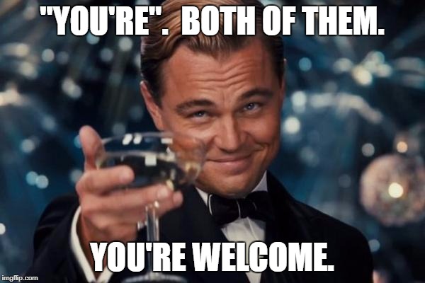 Leonardo Dicaprio Cheers Meme | "YOU'RE".  BOTH OF THEM. YOU'RE WELCOME. | image tagged in memes,leonardo dicaprio cheers | made w/ Imgflip meme maker