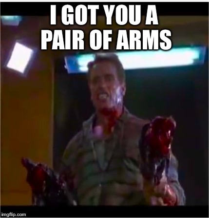 Wait.... | I GOT YOU A PAIR OF ARMS | image tagged in meme,arnold schwarzenegger,funny,2017,mac the rip,go get em | made w/ Imgflip meme maker