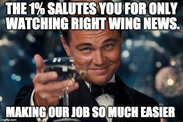 1% salute 
 | THE 1% SALUTES YOU FOR ONLY WATCHING RIGHT WING NEWS. MAKING OUR JOB SO MUCH EASIER | image tagged in memes,leonardo dicaprio cheers | made w/ Imgflip meme maker
