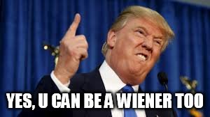 Trump | YES, U CAN BE A WIENER TOO | image tagged in reality winner | made w/ Imgflip meme maker