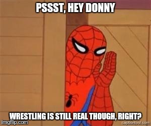 psst spiderman | PSSST, HEY DONNY; WRESTLING IS STILL REAL THOUGH, RIGHT? | image tagged in psst spiderman,trump | made w/ Imgflip meme maker
