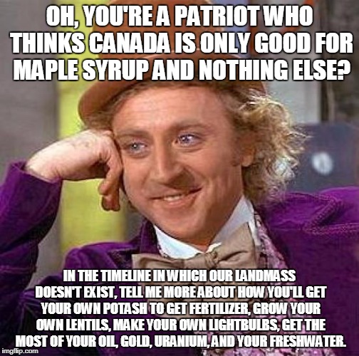 Why do you not know any of this? Cause Canadians are super modest. | OH, YOU'RE A PATRIOT WHO THINKS CANADA IS ONLY GOOD FOR MAPLE SYRUP AND NOTHING ELSE? IN THE TIMELINE IN WHICH OUR LANDMASS DOESN'T EXIST, TELL ME MORE ABOUT HOW YOU'LL GET YOUR OWN POTASH TO GET FERTILIZER, GROW YOUR OWN LENTILS, MAKE YOUR OWN LIGHTBULBS, GET THE MOST OF YOUR OIL, GOLD, URANIUM, AND YOUR FRESHWATER. | image tagged in memes,creepy condescending wonka,canada day,canada | made w/ Imgflip meme maker