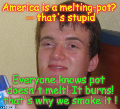 10 Guy Meme | America is a melting-pot? -- that's stupid; Everyone knows pot doesn't melt! It burns! that's why we smoke it ! | image tagged in memes,10 guy | made w/ Imgflip meme maker