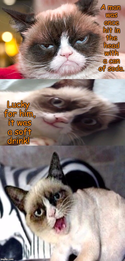 Bad Pun Grumpy Cat | A man was once hit in the head with a can of soda. Lucky for him, it was a soft drink! | image tagged in bad pun grumpy cat,bad pun,grumpy cat,memes | made w/ Imgflip meme maker