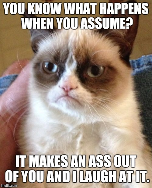 Grumpy Cat Meme | YOU KNOW WHAT HAPPENS WHEN YOU ASSUME? IT MAKES AN ASS OUT OF YOU AND I LAUGH AT IT. | image tagged in memes,grumpy cat | made w/ Imgflip meme maker