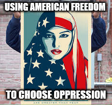 definition of stupidity | USING AMERICAN FREEDOM; TO CHOOSE OPPRESSION | image tagged in july 4 | made w/ Imgflip meme maker