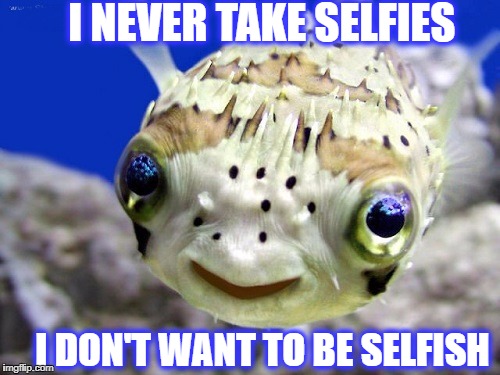 Blow me underwater snapchat  | I NEVER TAKE SELFIES; I DON'T WANT TO BE SELFISH | image tagged in selfish,selfie,memes,funny,fish | made w/ Imgflip meme maker