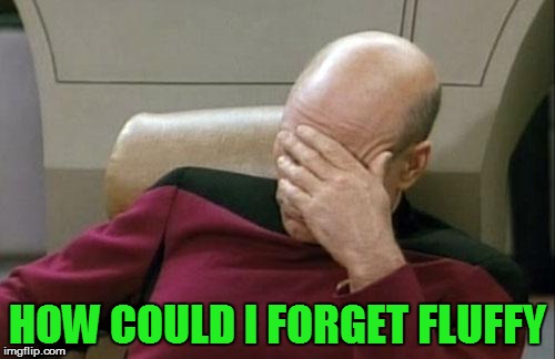 Captain Picard Facepalm Meme | HOW COULD I FORGET FLUFFY | image tagged in memes,captain picard facepalm | made w/ Imgflip meme maker