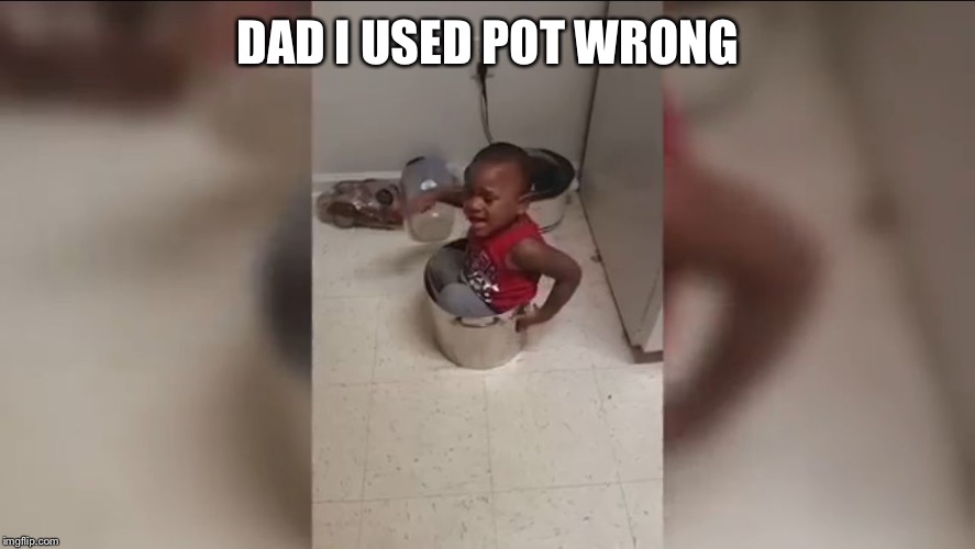 DAD I USED POT WRONG | image tagged in pot kid | made w/ Imgflip meme maker
