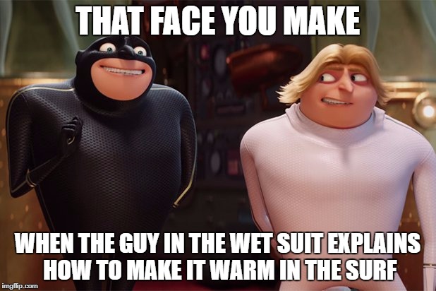Gru times 2 | THAT FACE YOU MAKE; WHEN THE GUY IN THE WET SUIT EXPLAINS HOW TO MAKE IT WARM IN THE SURF | image tagged in meme,despicable me | made w/ Imgflip meme maker