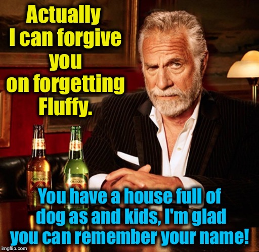 Actually I can forgive you on forgetting Fluffy. You have a house full of dog as and kids, I'm glad you can remember your name! | made w/ Imgflip meme maker