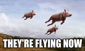 THEY'RE FLYING NOW | made w/ Imgflip meme maker