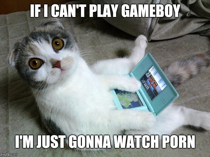 My little kitty ** Gameboy Week {pinheadpokemonz event} | IF I CAN'T PLAY GAMEBOY; I'M JUST GONNA WATCH PORN | image tagged in memes,cat,gameboy week | made w/ Imgflip meme maker